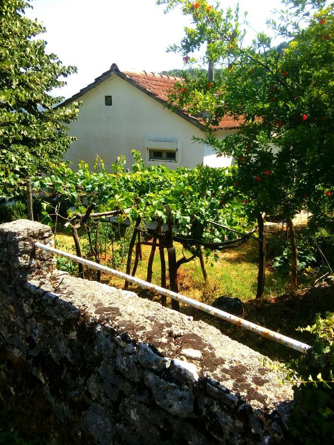 וירפזאר Country House "Lipa" Komarno מראה חיצוני תמונה