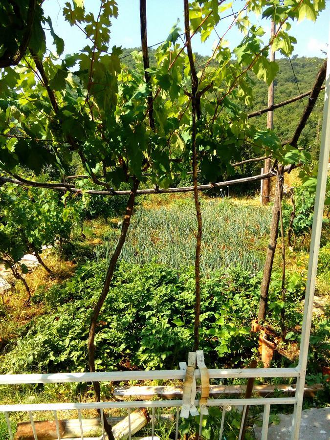 וירפזאר Country House "Lipa" Komarno מראה חיצוני תמונה