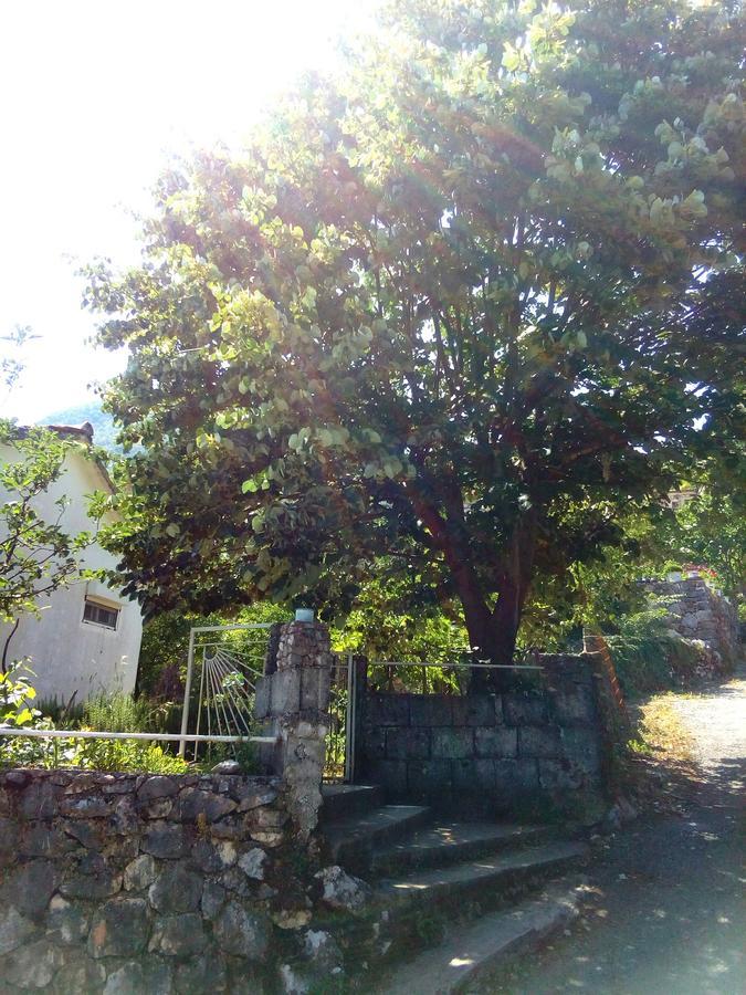 וירפזאר Country House "Lipa" Komarno מראה חיצוני תמונה