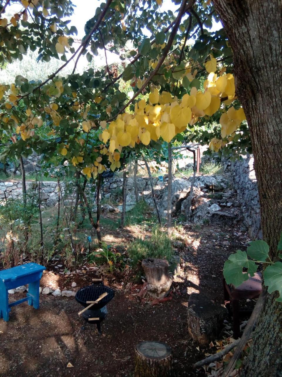 וירפזאר Country House "Lipa" Komarno מראה חיצוני תמונה