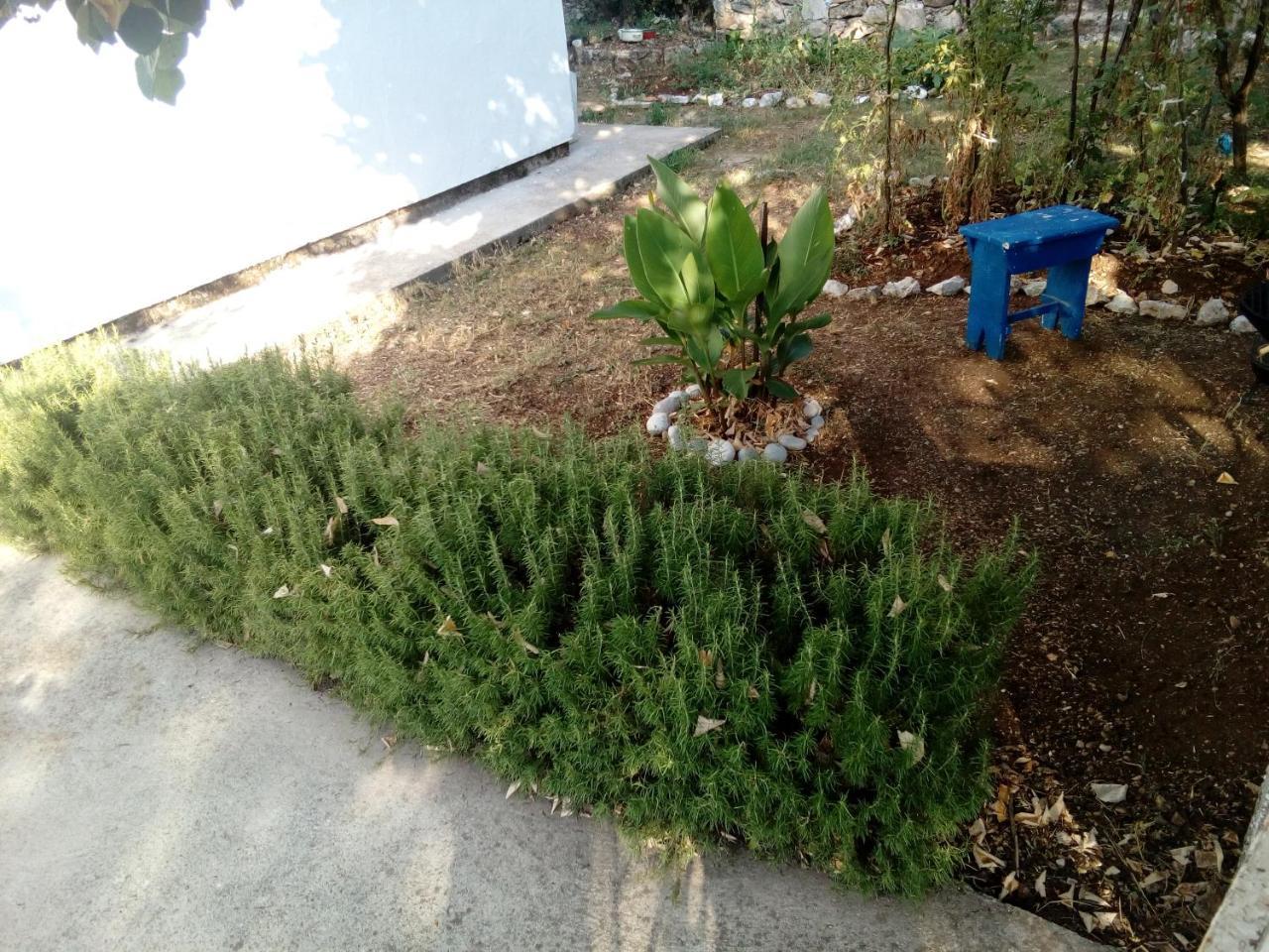 וירפזאר Country House "Lipa" Komarno מראה חיצוני תמונה