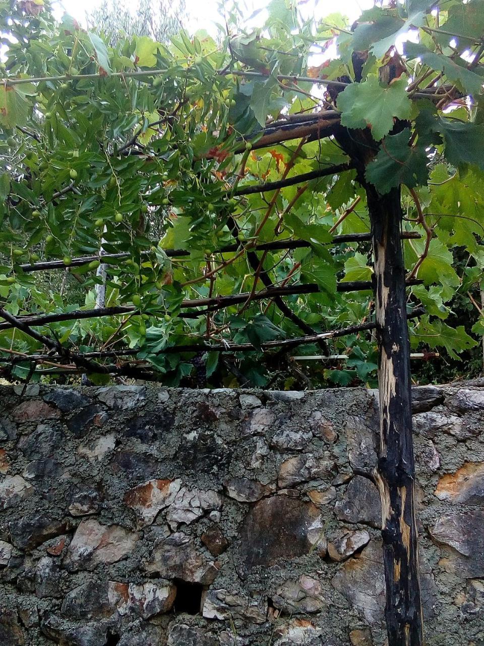 וירפזאר Country House "Lipa" Komarno מראה חיצוני תמונה