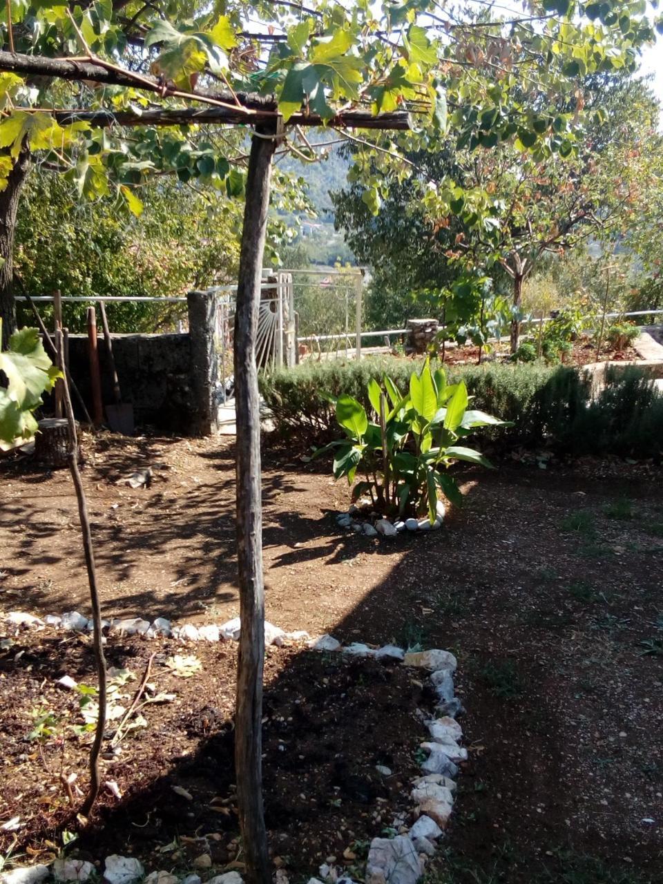 וירפזאר Country House "Lipa" Komarno מראה חיצוני תמונה
