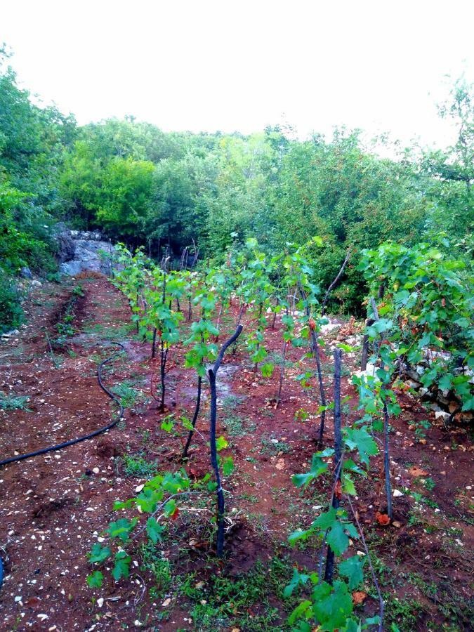 וירפזאר Country House "Lipa" Komarno מראה חיצוני תמונה