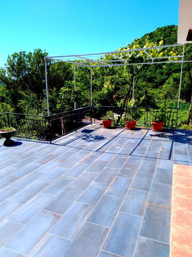 וירפזאר Country House "Lipa" Komarno מראה חיצוני תמונה
